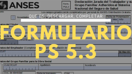 ¿Qué es y para qué sirve el formulario PS 5.3?
